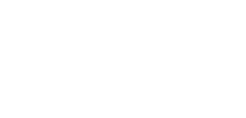 AAL logo