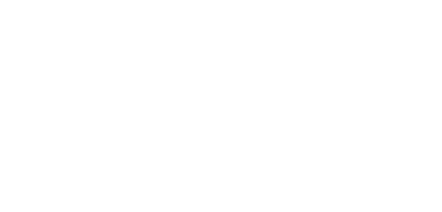DTU logo