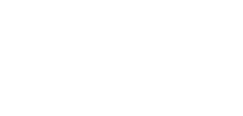 novamont logo 
